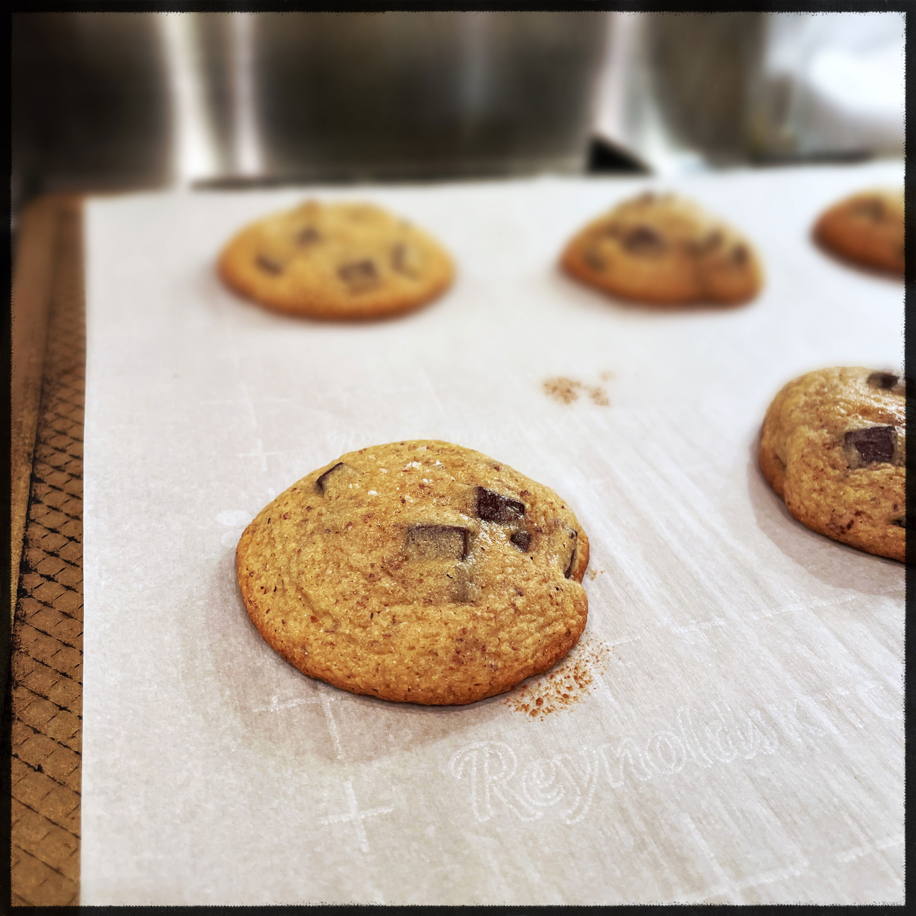 golden brown cookies with small squares of chocolate atop a piece of parchment