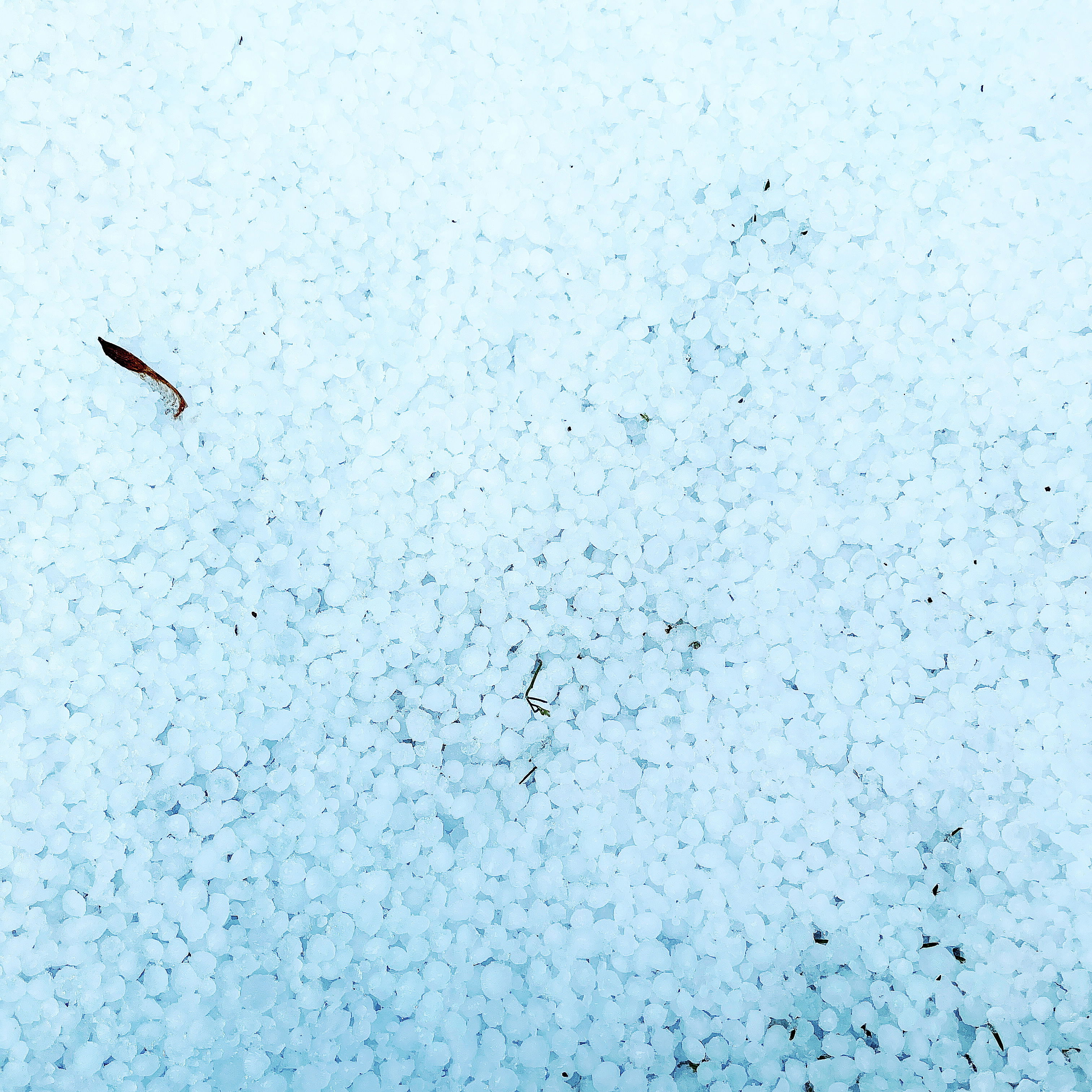 ground covered with pebble-sized hailstones