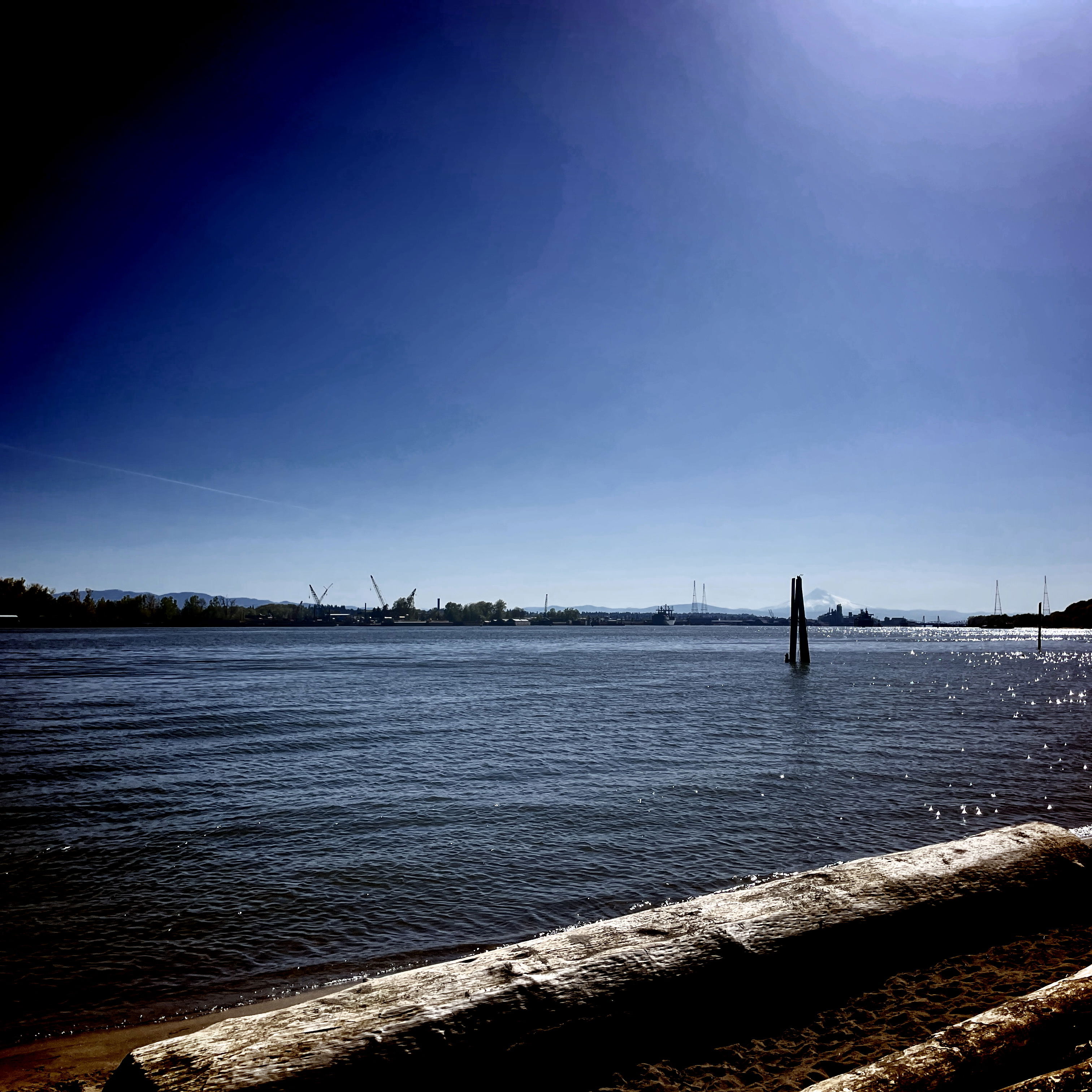 the upper half of the photo is blue sky, and the bottom half is water in gentle waves, with a large log along the riverbank
