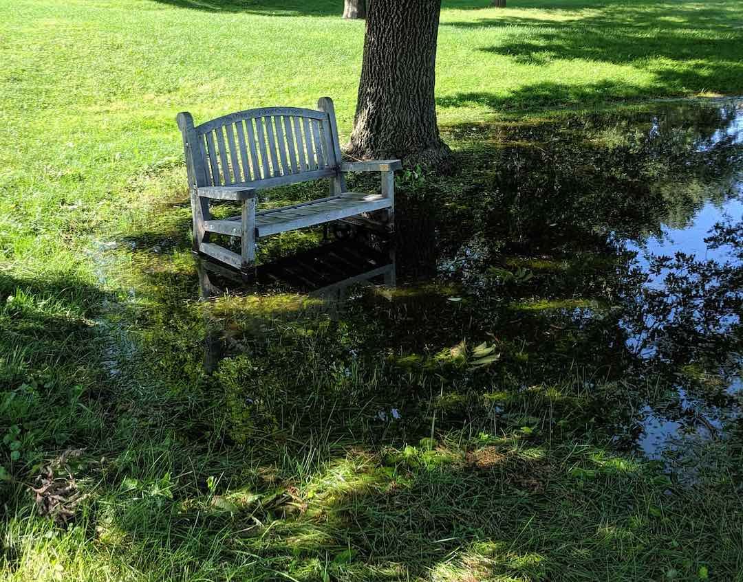 Bench in grass and water