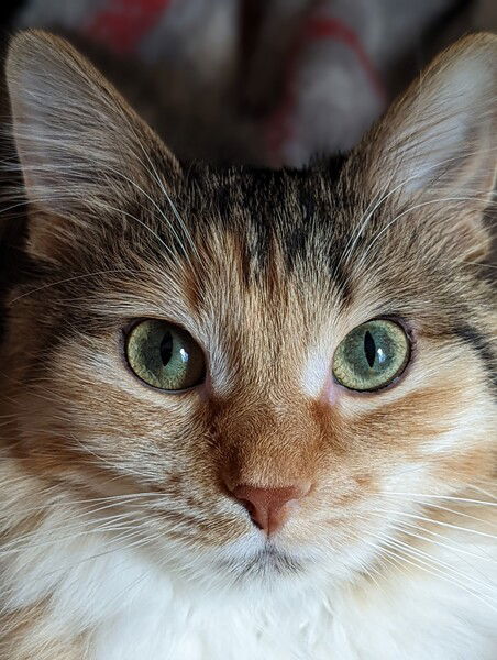 Olivia Benson looking gorgeous up close.