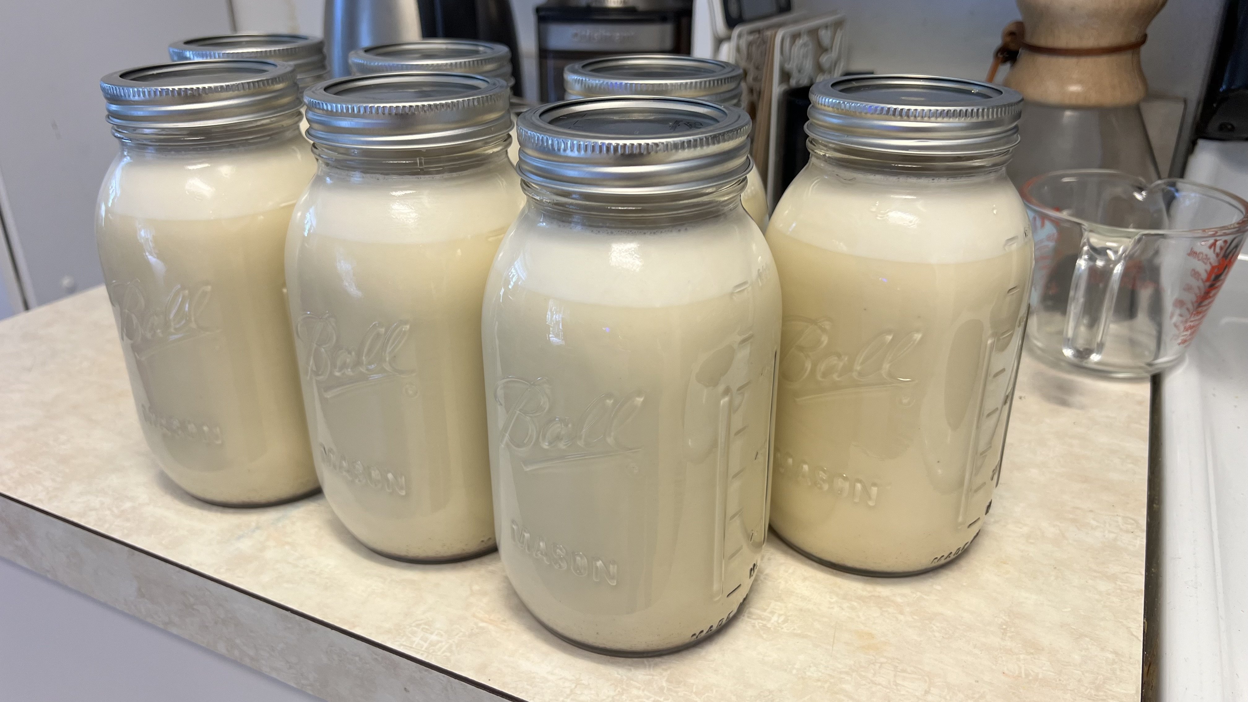 Seven Ball-branded, quart-size Mason jars with lids, filled with homemade egg nog, sitting on a light colored kitchen counter. A Pyrex measuring cup, a Chemex pour-over coffee maker, a coffee grinder, and electric water kettle are in the background.