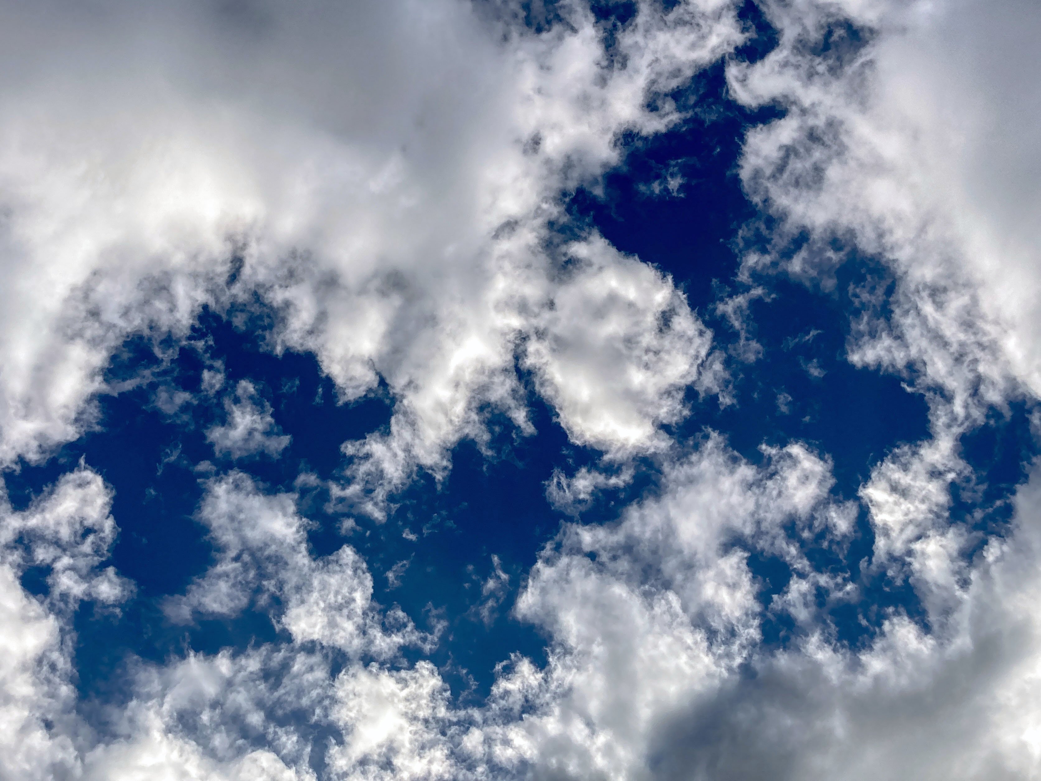 Daily Snap #10: Cloudscape - Whispy white clouds against a deep blue sky.﻿