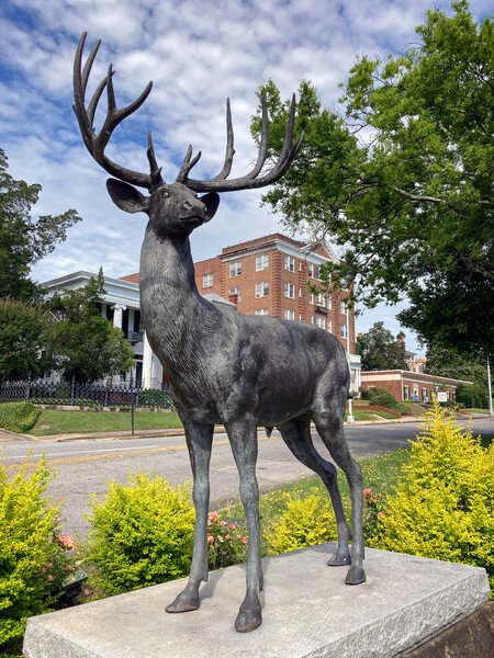 A bronze deer statue standing atop a granite pedestal on Mulberry Street.