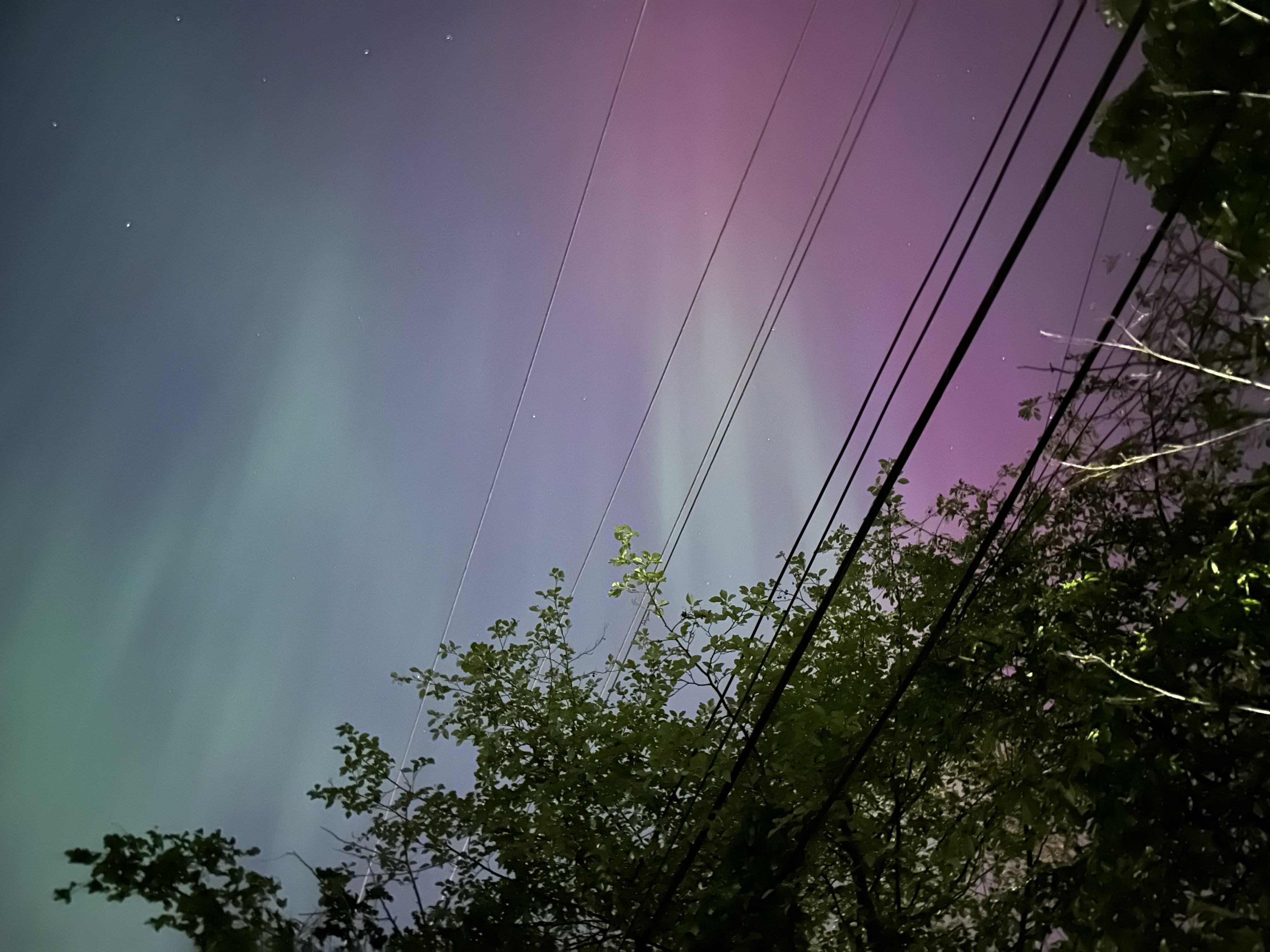 Aurora borealis as seen in Seattle on 5/10/2024