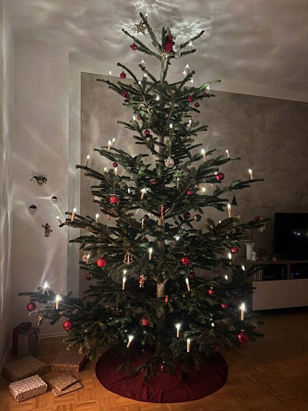 Weihnachtsbaum 2025 mit Behang und Beleuchtung