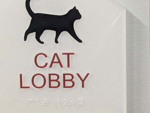 Dog in the cat lobby.