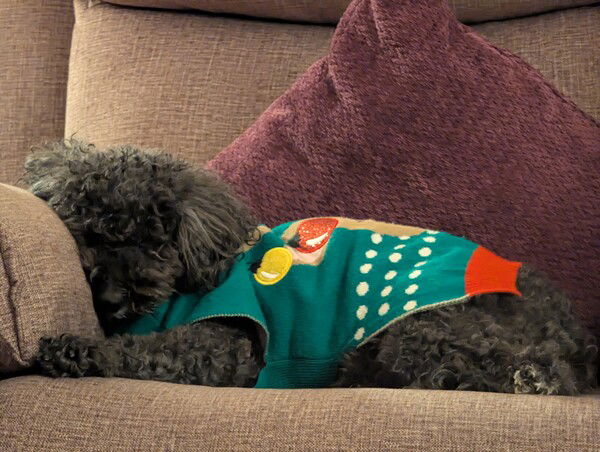 Christmas is exhausting.