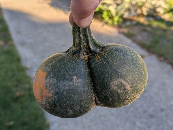 Nature has a sense of humor.