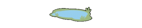 animation of a simple pond with a leaf blowing across and away, leaving gentle ripples behind