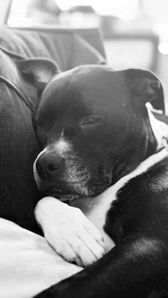 Friday vibes from Watson