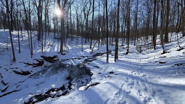 New Years Day hike in the books! Cold (feels like 5 deg F) but the sun and woods helped. 