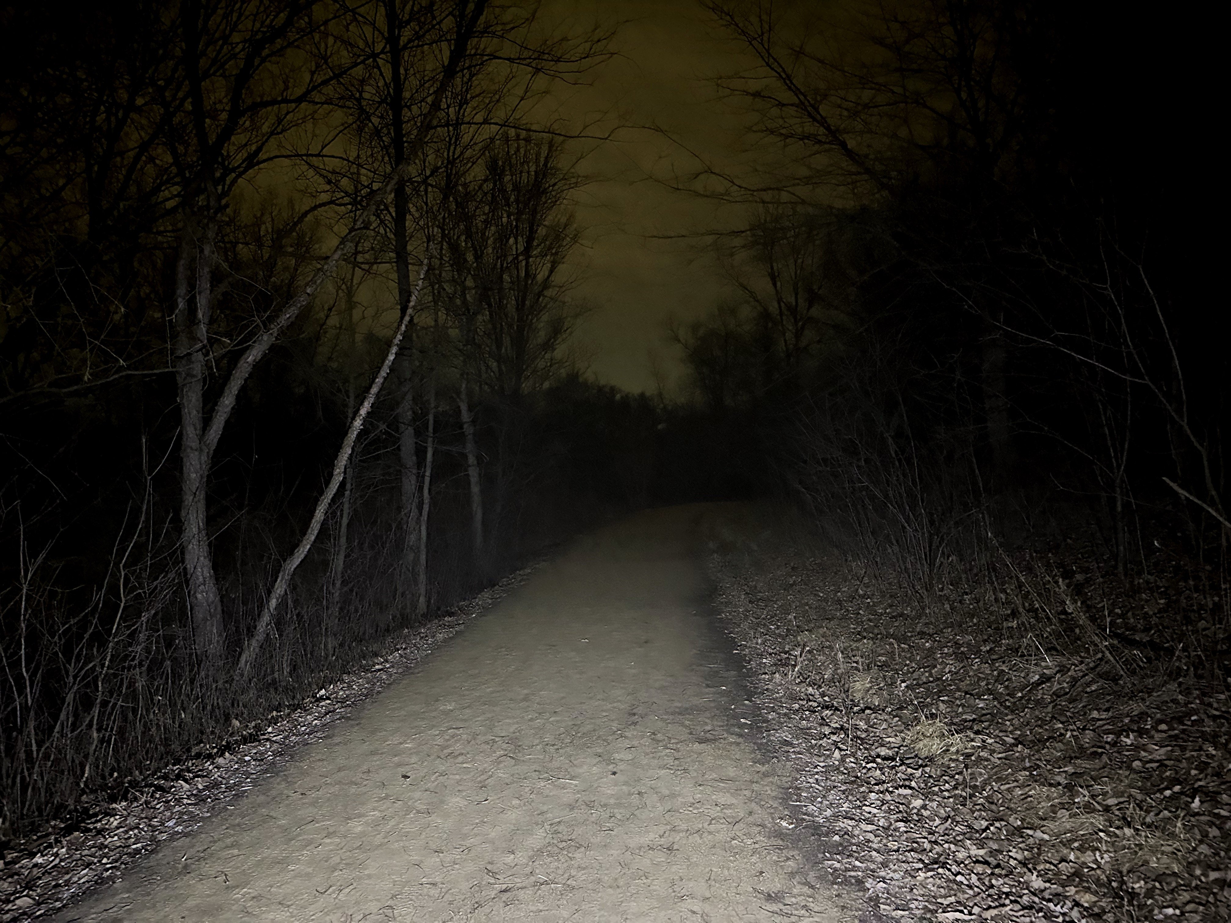 A dimly lit dirt path leads through a dense, dark forest at night, creating a moody and mysterious atmosphere