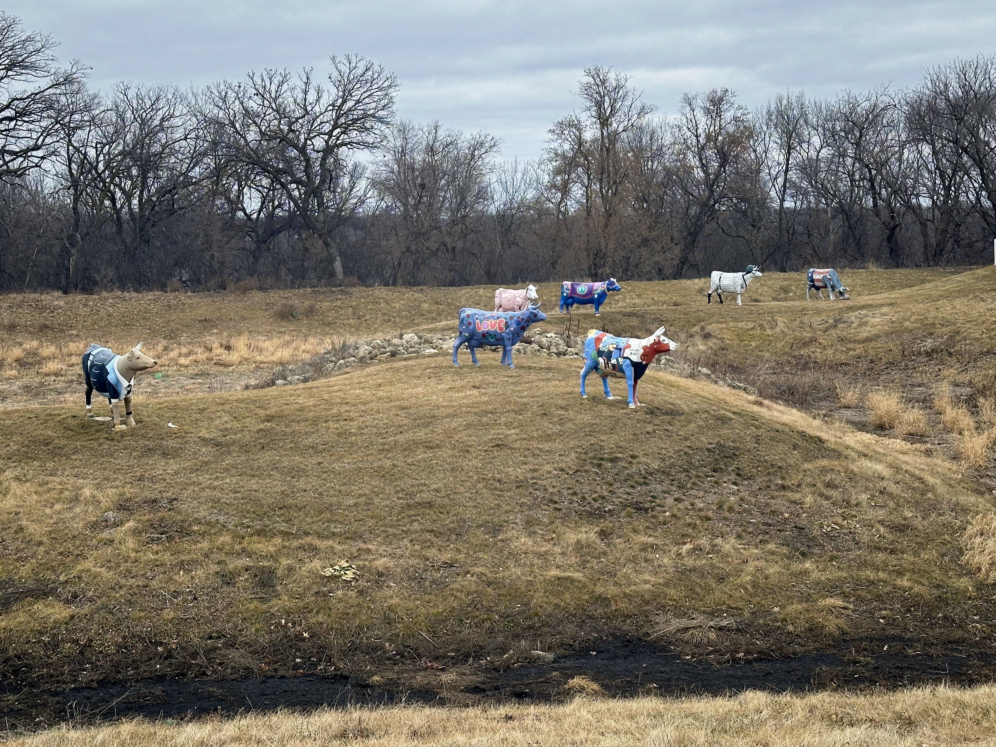Colorfully painted cow statues are positioned on a grassy hill with bare trees in the background.