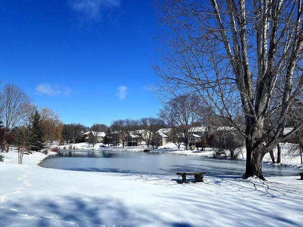 Snow-covered landscape with a frozen pond, bare trees, and residential houses under a clear blue sky. Shadows stretch across the snow.
