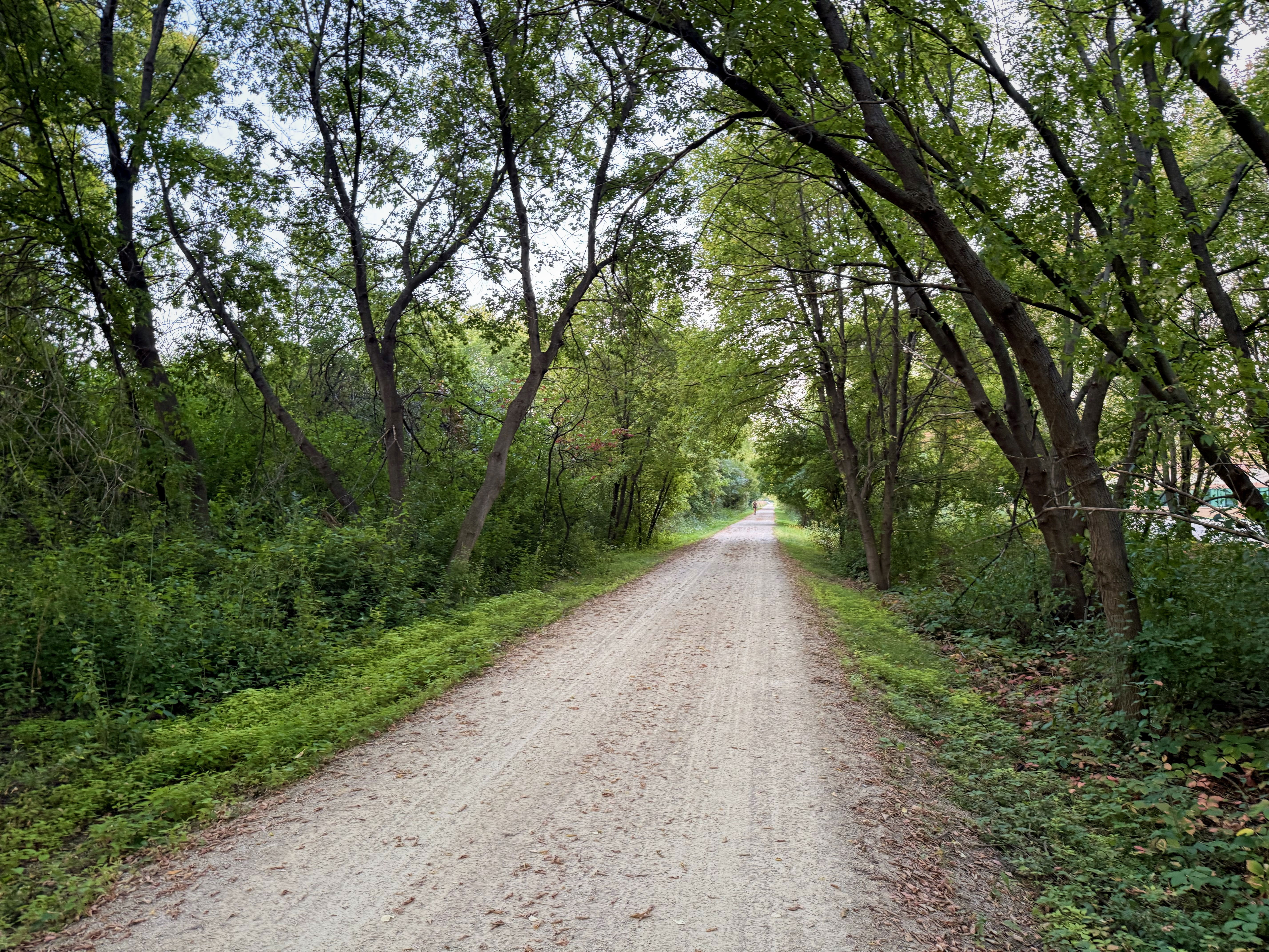 A sandy path runs through a green, wooded area, framed by trees on either side.