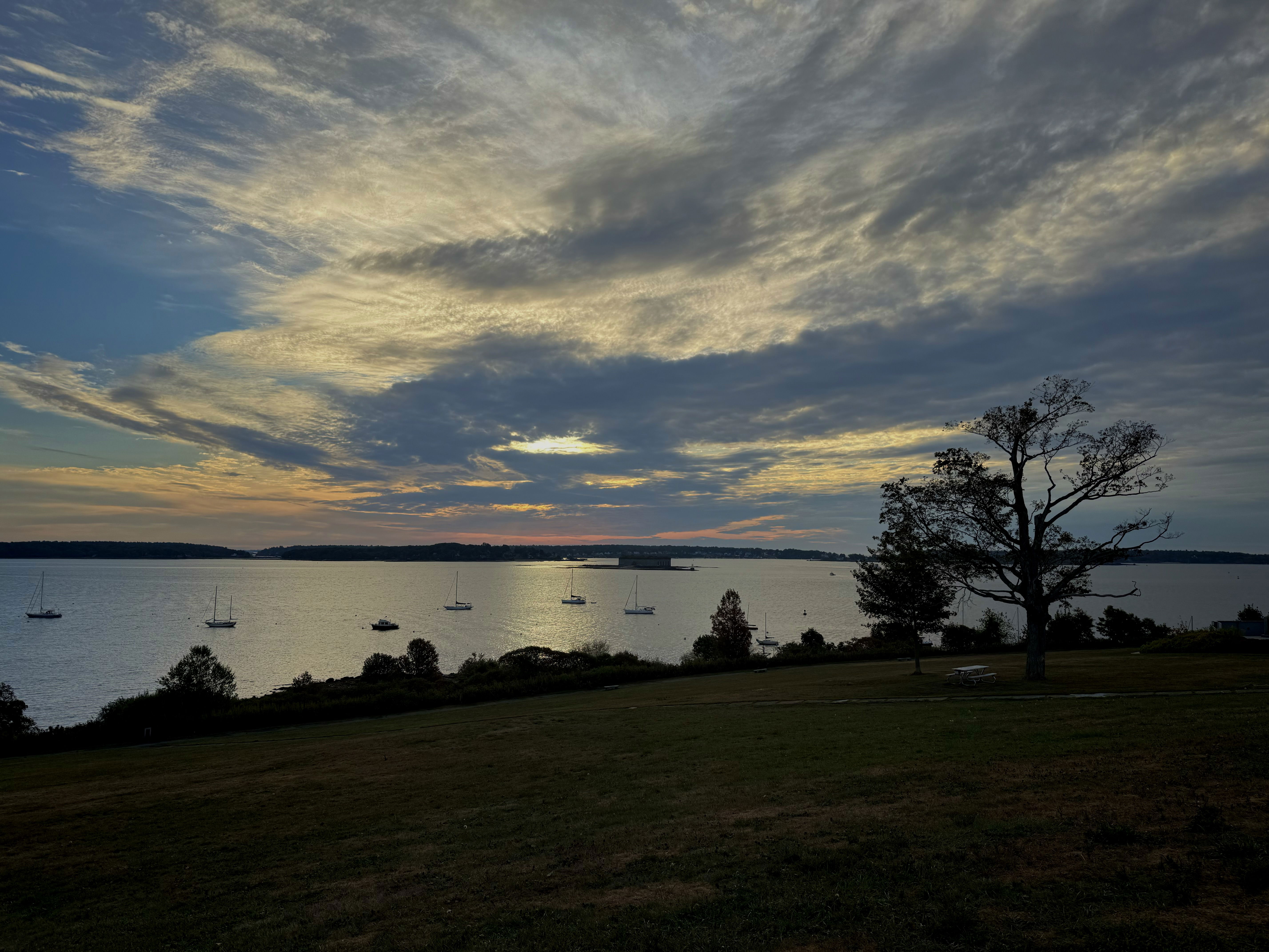 A scenic view of a calm bay at sunset, featuring several sailboats on the water, a cloudy sky with hues of blue and orange, and a silhouette of a tree and grassy area in the foreground.