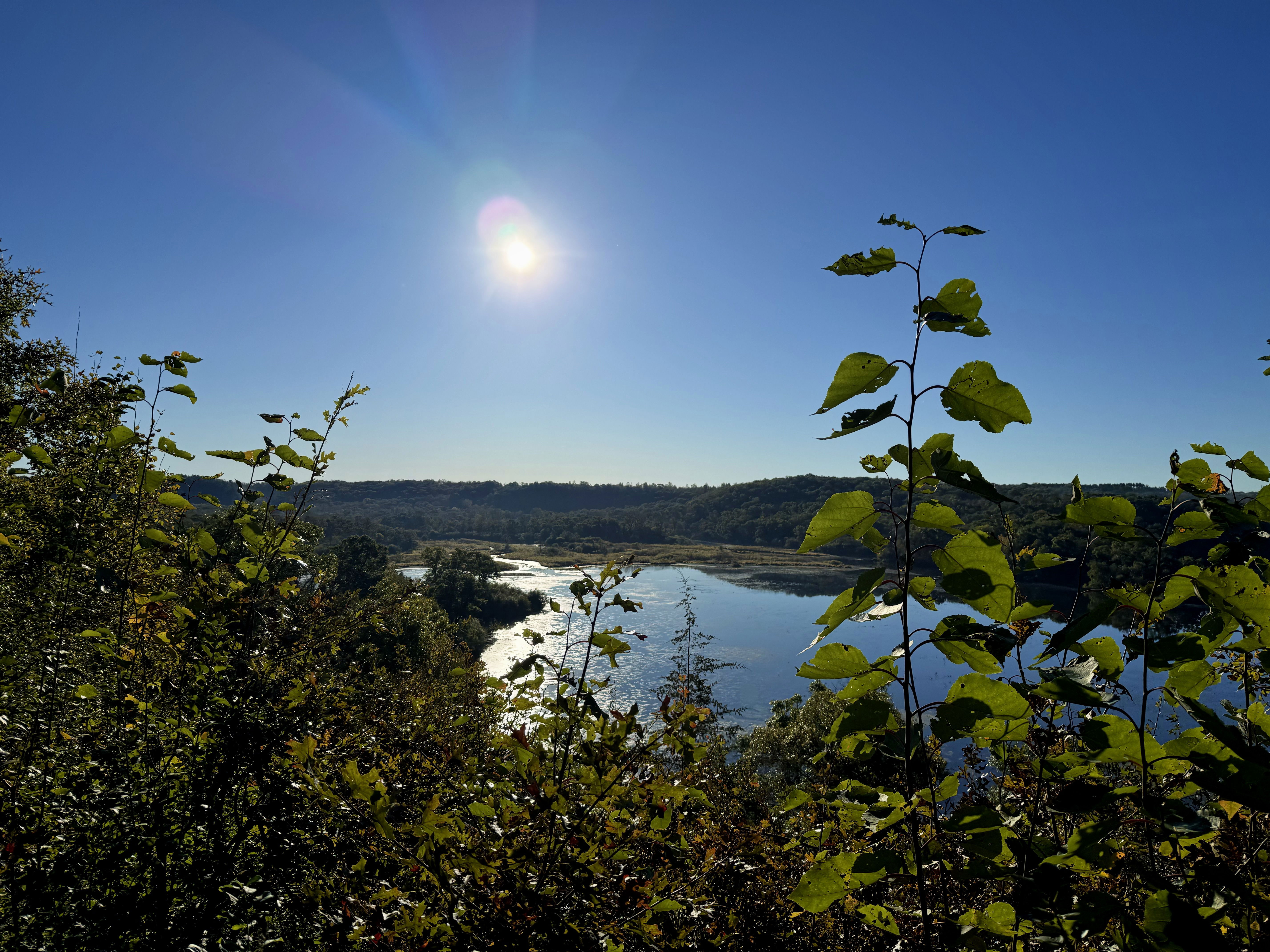 A scenic view of a river surrounded by trees and hills under a clear blue sky, with the sun shining brightly above. In the foreground, green leaves frame the image.