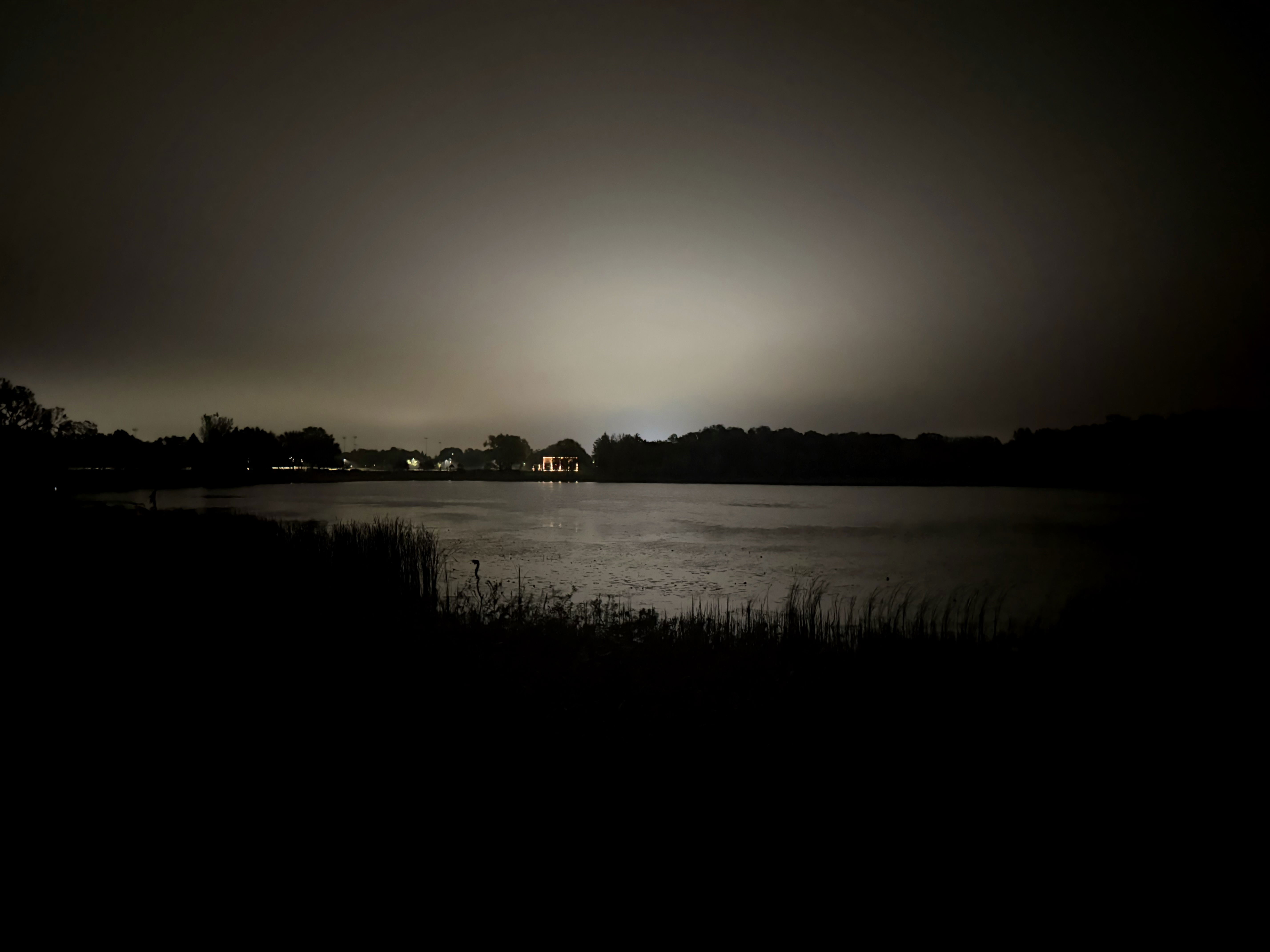 A tranquil lake scene at night, with faint lights from houses visible across the water. The sky is mostly dark with a soft glow, and silhouettes of trees line the background. Reeds and grasses frame the foreground.