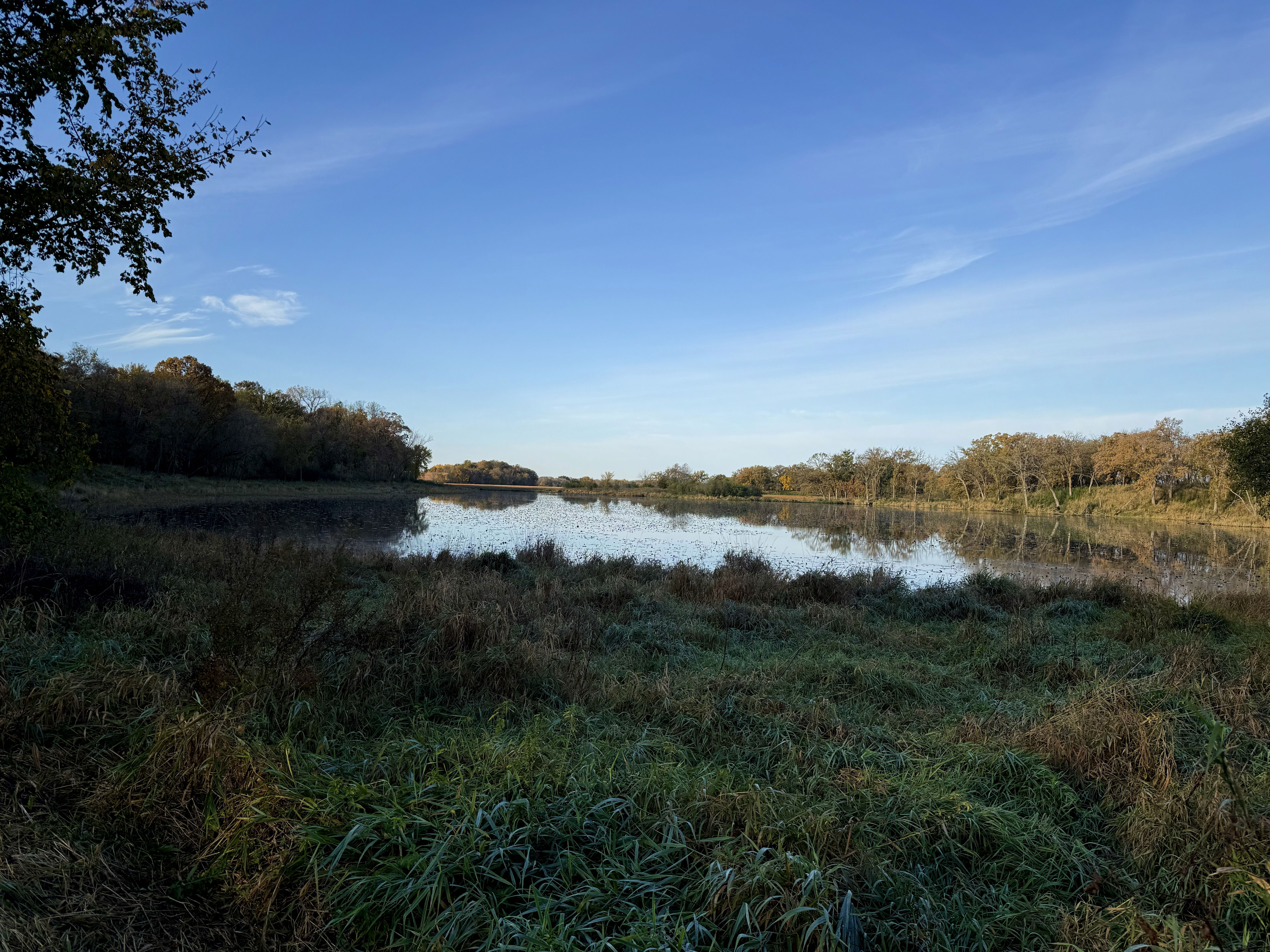 A serene landscape featuring a calm lake surrounded by autumn foliage, with clear blue skies overhead and reflections on the water’s surface. The foreground includes grasses and reeds.
