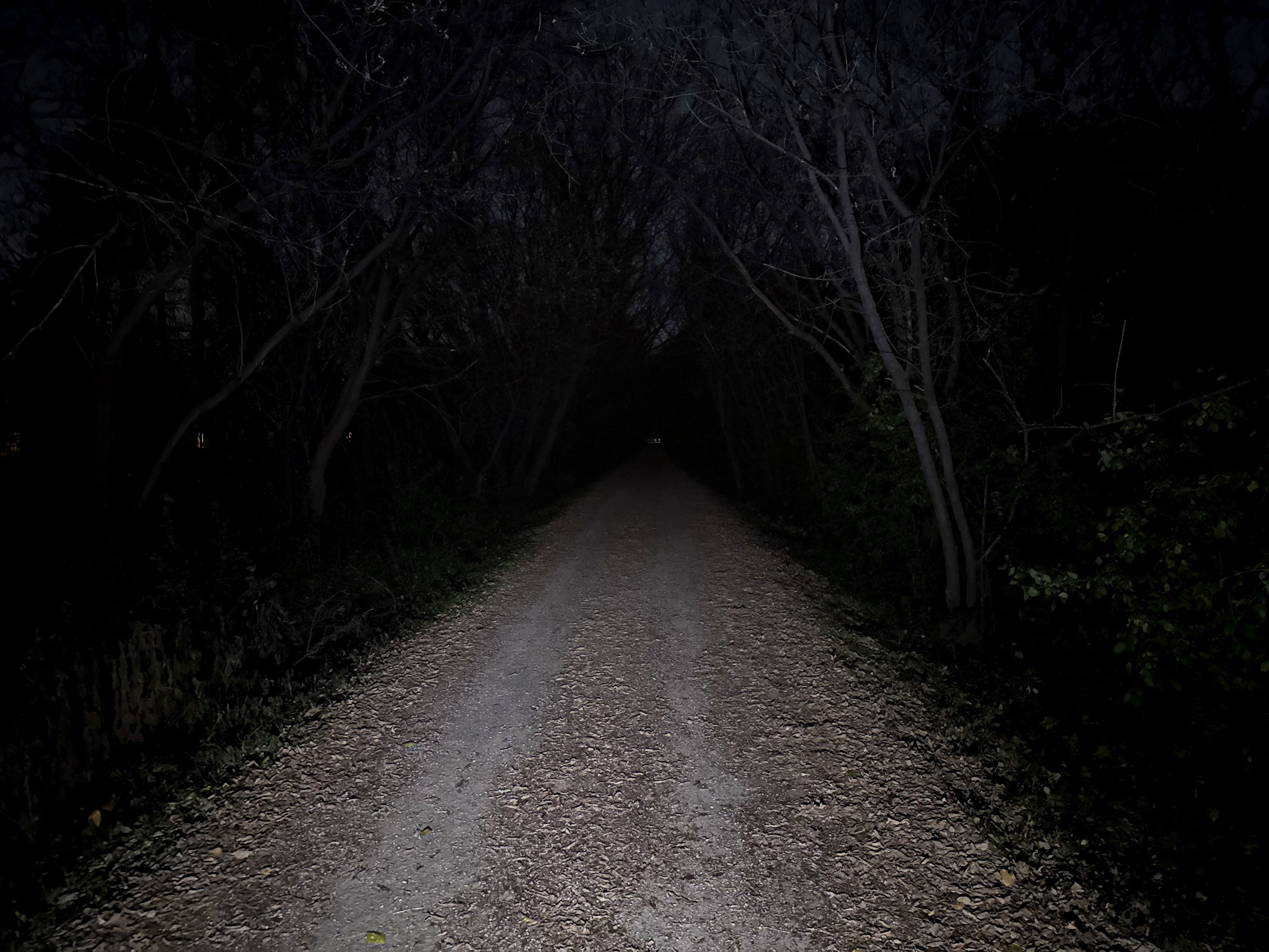 A dimly lit gravel path surrounded by bare trees, leading into darkness. The path is lined with dry leaves, and faint light is visible in the distance.