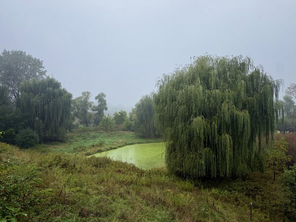 A lot of green in this picture here in places that maybe should be that green.