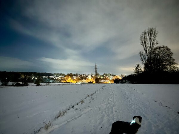 A field in winter in the dark. The field is covered in snow, a dog is standing in front, looking away from the viewer and wearing a collar with a light.  Night Shot on iOS