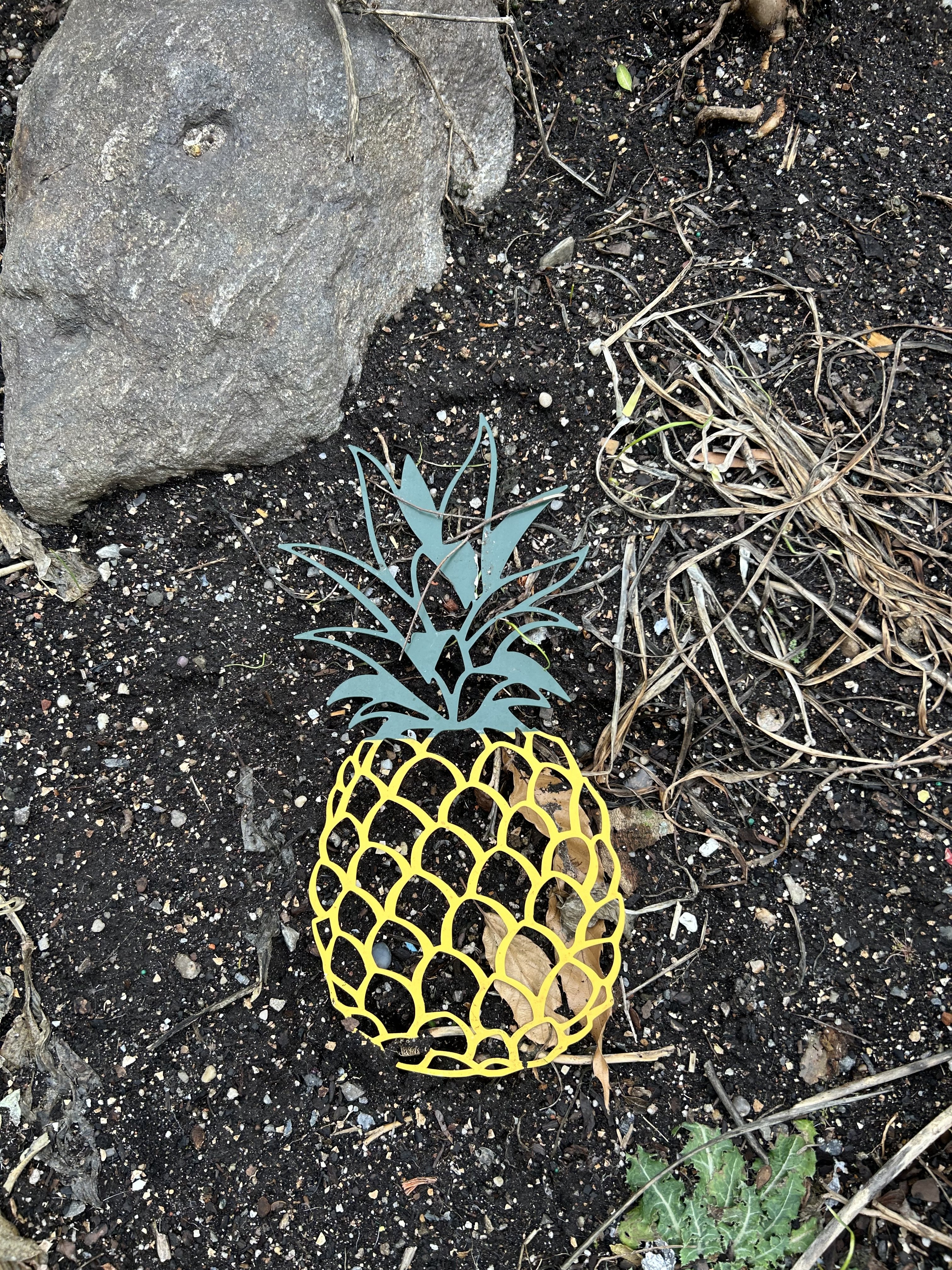 A pineapple lawn decoration laying flat in a garden bed