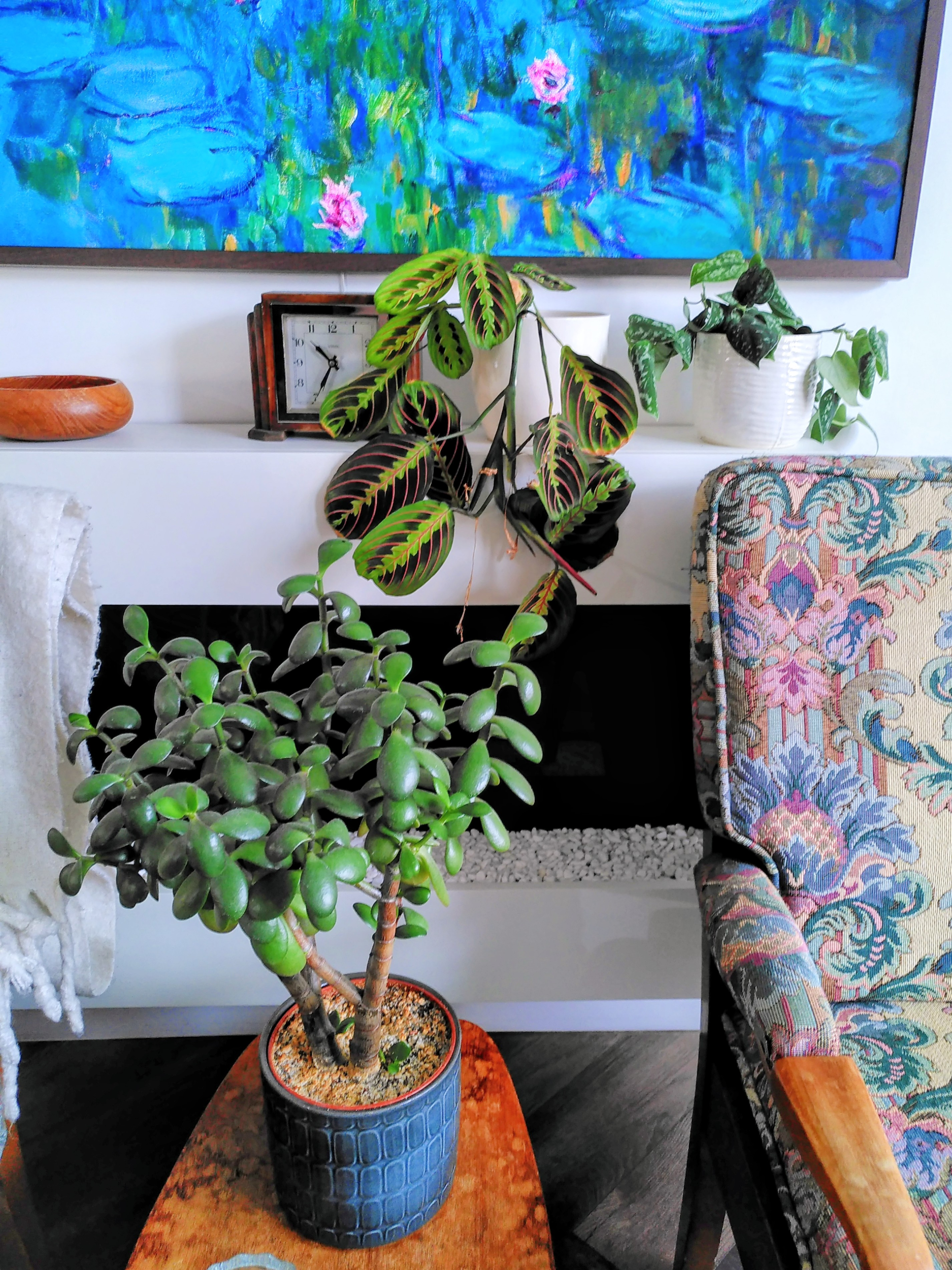 Three houseplants on a side table and fire