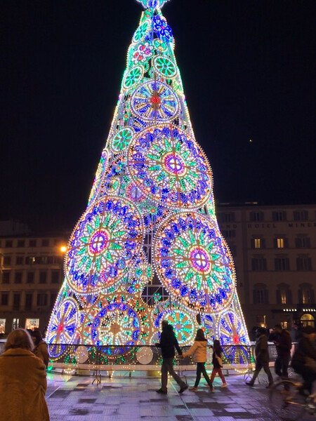 📷 20 December 2018 📷

Christmas Tree 🎄 

Florence, Tuscany, Italy