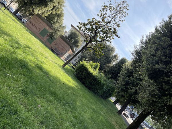 6 May 2023 📷
Garden 🏡
Florence, Tuscany, Italy