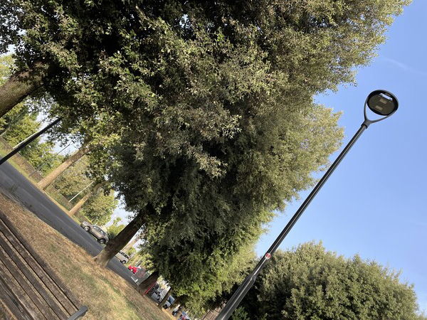 H 7:21, green moments
Florence, Tuscany, Italy