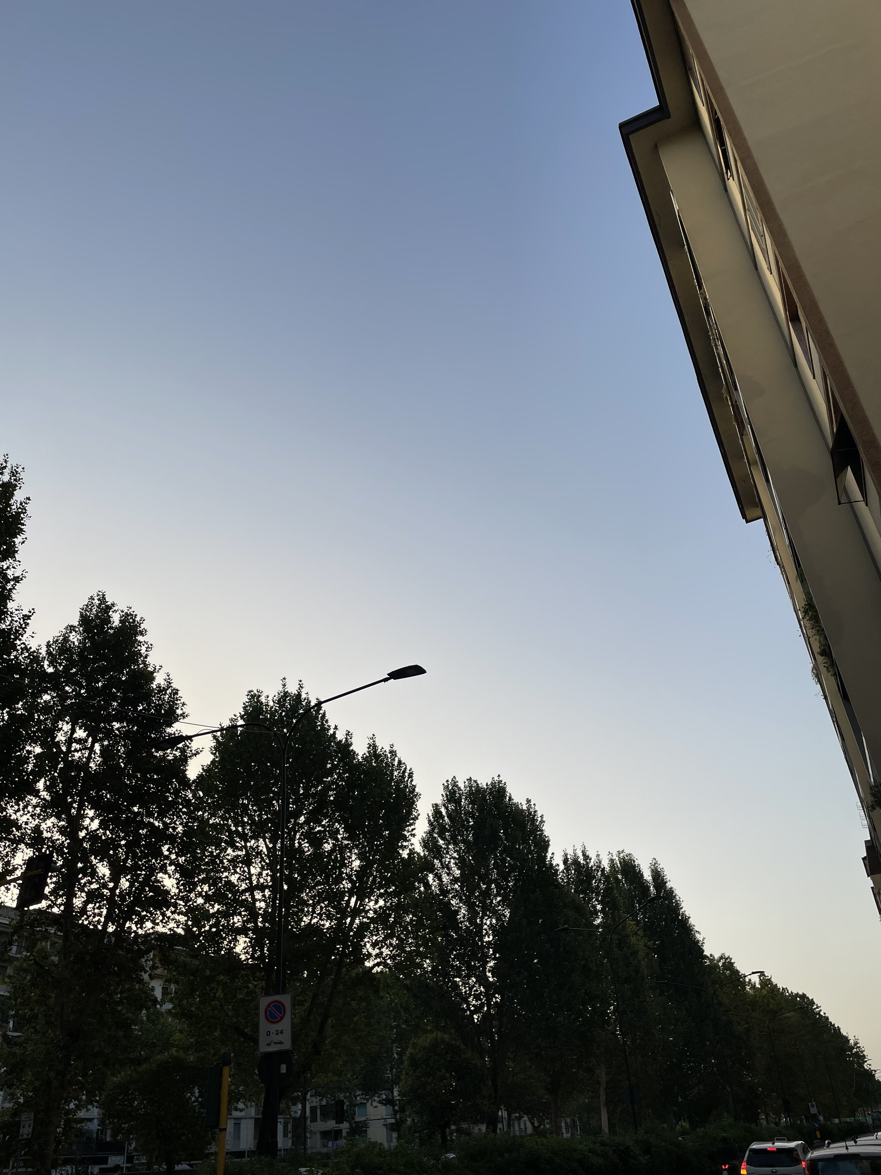 H 6:40, albe+alberi    Florence, Tuscany, Italy