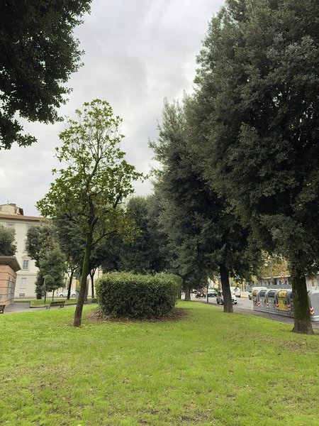 H 8:24, greygreen

Florence, Tuscany, Italy