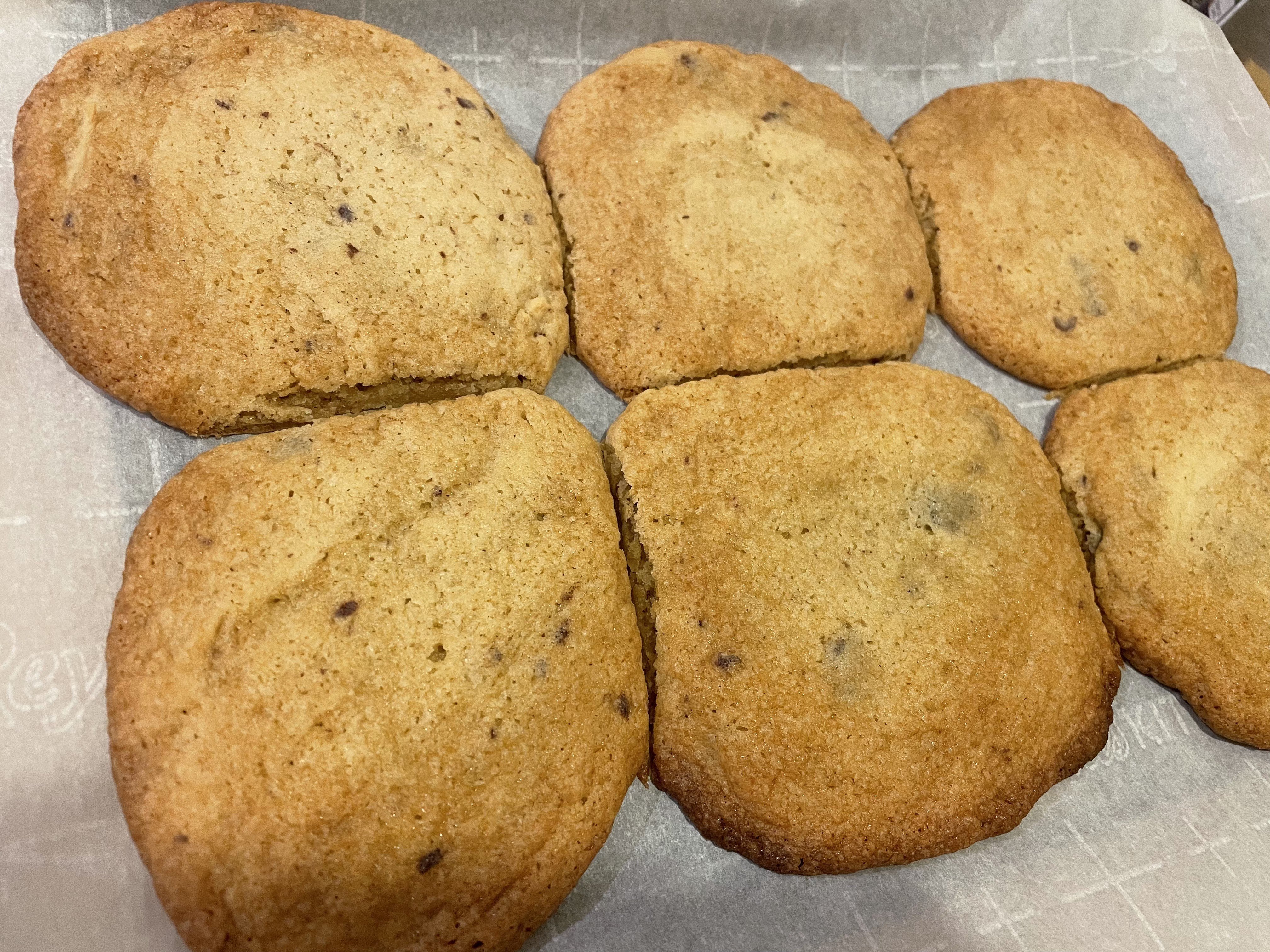 Half-dozen (six) of home baked chocolate chip cookies. Cut to separate just out of oven gives them a squared-off look at their point of contact with each other.