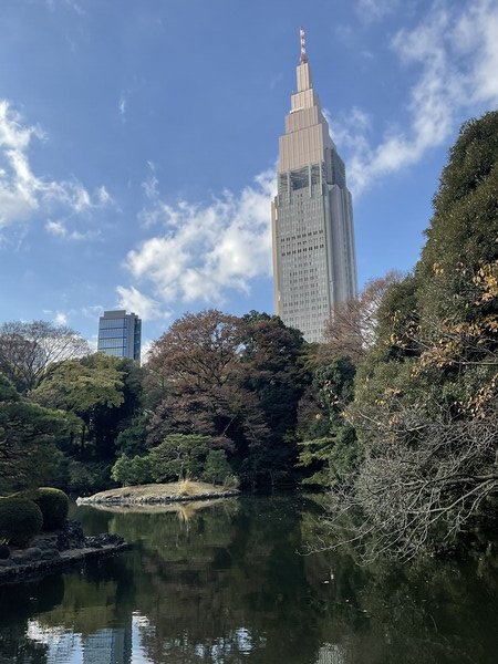 Shinjuku Gyoen, Japanese Garden, Docomo Tower