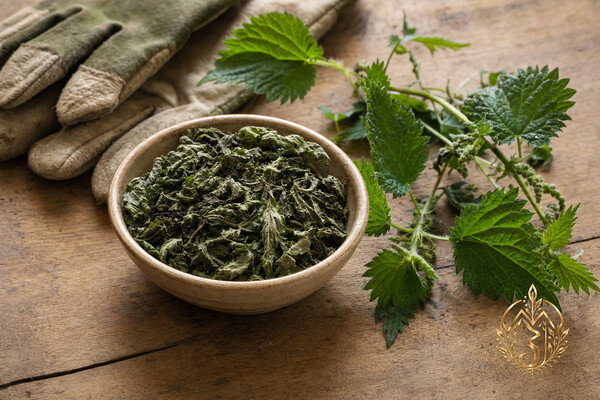 Stinging Nettle — A practical materia profile for stinging nettle in witchcraft: identity, Mars and Fire correspondences, protective and counter-magical uses, history, and how fresh nettle, dried nettle, tea, and infused oil differ in practice.
https://mizjeannie.com/materia/stinging-nettle
