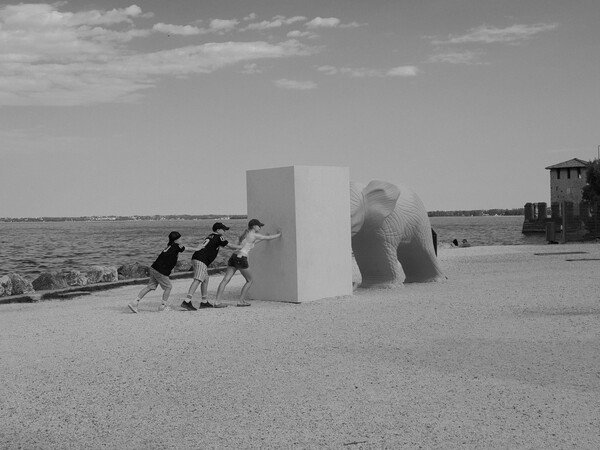 Don't let the elephant win! near Garda lake, Italy
