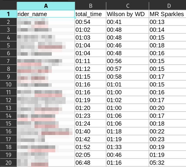 example result spreadsheet