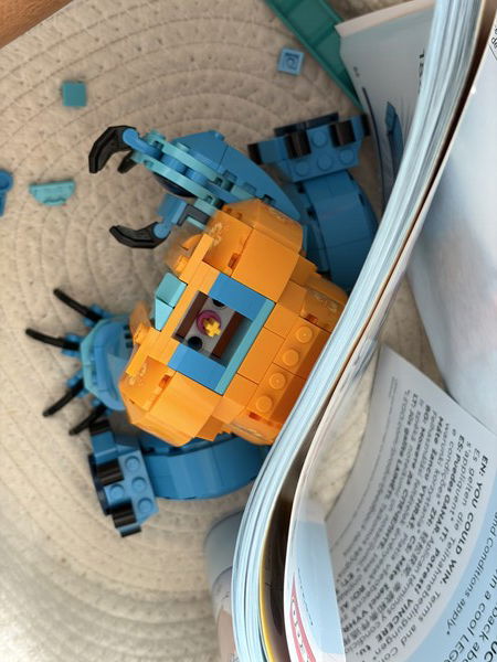 Half time

Half built Stitch LEGO in a basket, next to an open instruction booklet.