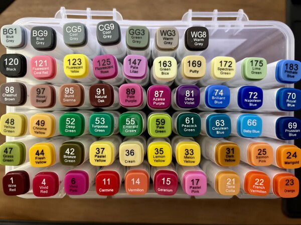 Lined out.

A colorful set of 57 art markers in a clear case, organized by color family from greys to blues, greens, yellows, reds, pinks, and browns.