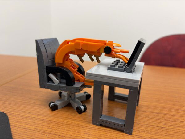 Good morning. Ready for business!

An orange Lego shrimp sitting at a gray desk with a computer, on a wooden surface.