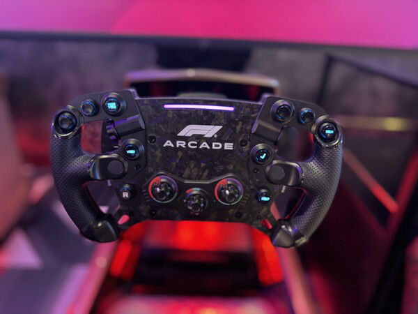 F1 Arcade simulator racing wheel.