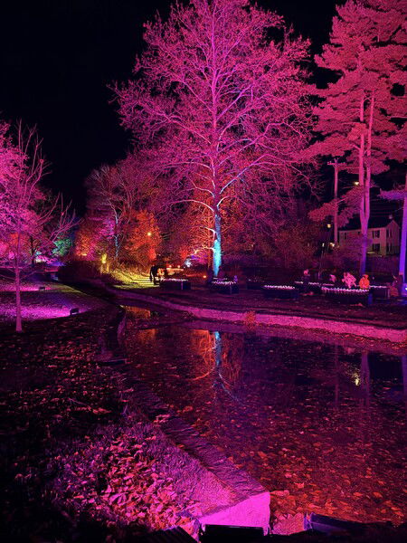 MSV Holiday Garden Lights 2024