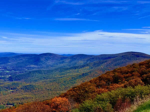 Not peak color yet in most places, but it's on its way at this elevation.
Hogback Overlook elevation 3,385 ft.
Shenandoah National Park, Skyline Drive.
#SilentSunday
