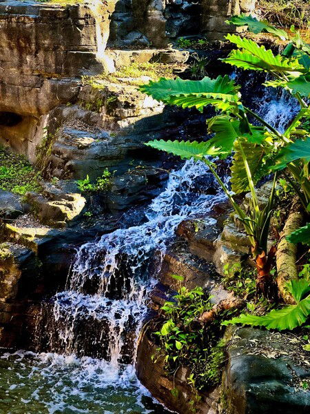 Waterfall 
#WDW