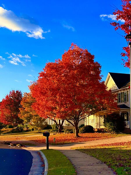 Starting to see color
#Autumn