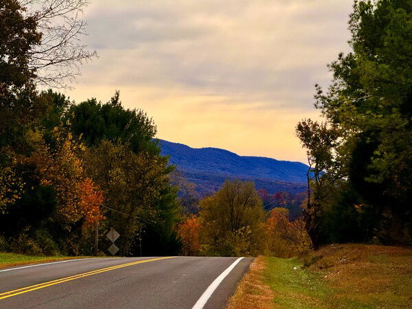 Back roads in Autumn

#SilentSunday
