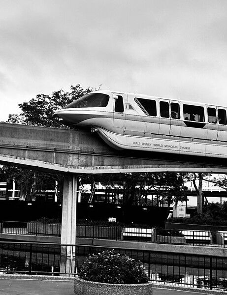 Monorail Epcot Walt Disney World
#WDW 