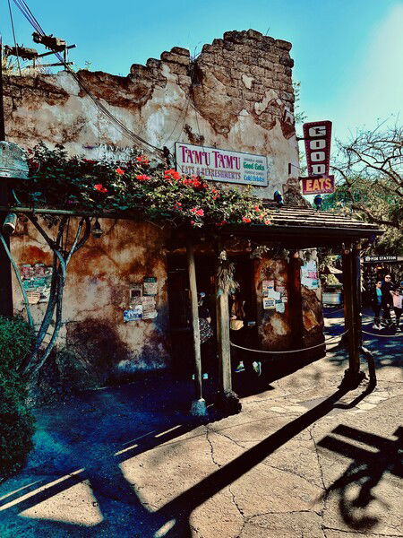 Tamu Tamu Resturant
Disney's Animal Kingdom

#WDW #Photography 